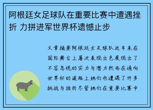 阿根廷女足球队在重要比赛中遭遇挫折 力拼进军世界杯遗憾止步