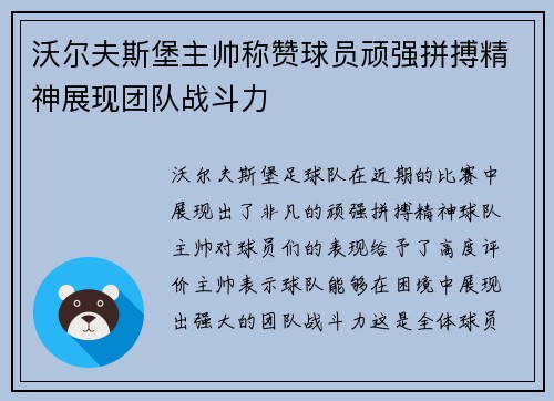 沃尔夫斯堡主帅称赞球员顽强拼搏精神展现团队战斗力